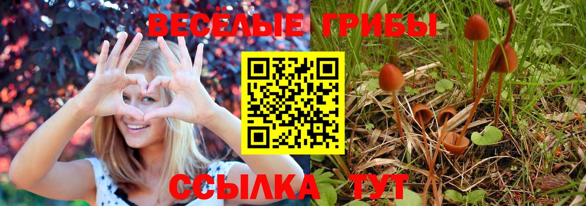 Псилоцибиновые грибы Cubensis  Вход с VPN  Кострома  Псилоцибиновые грибы Cubensis 